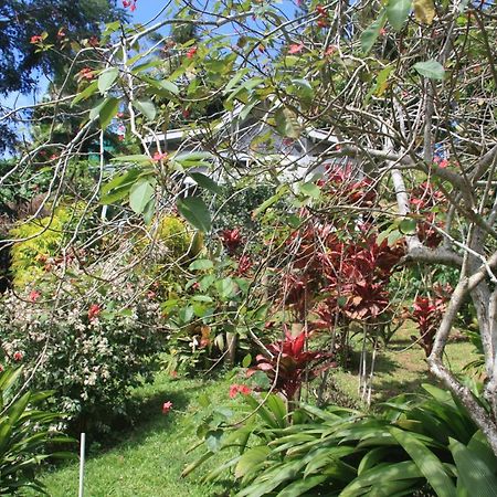 Gingerbread Cottage And Studio Fiji Savusavu Exterior foto