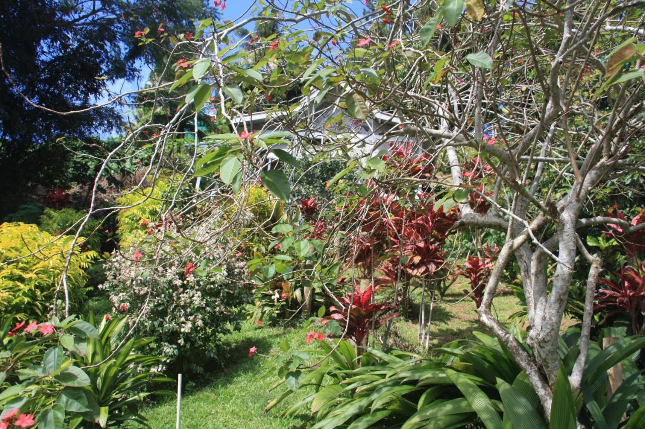 Gingerbread Cottage And Studio Fiji Savusavu Exterior foto